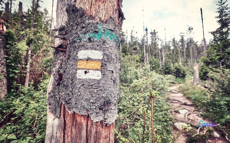 Wat is de betekenis van de kleuren bij de wandelroutes in Spanje?